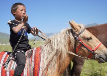 Tybet. Yushu / Mariola Maćko