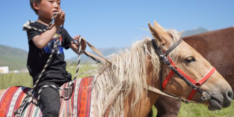 Tybet. Yushu / Mariola Maćko