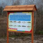 28.11.2020. Lipowica. Zbiornik wodny / Wiktor Taszłow / Radio Kielce