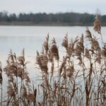 28.11.2020. Lipowica. Zbiornik wodny / Wiktor Taszłow / Radio Kielce