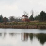 28.11.2020. Lipowica. Zbiornik wodny / Wiktor Taszłow / Radio Kielce