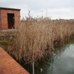 28.11.2020. Lipowica. Zbiornik wodny / Wiktor Taszłow / Radio Kielce