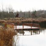 28.11.2020. Lipowica. Zbiornik wodny / Wiktor Taszłow / Radio Kielce