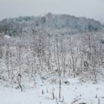 29.11.2020. Kielce. Zima w Kielcach / Wiktor Taszłow / Radio Kielce