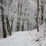 29.11.2020. Kielce. Zima w Kielcach / Wiktor Taszłow / Radio Kielce