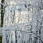 29.11.2020. Kielce. Zima w Kielcach / Wiktor Taszłow / Radio Kielce