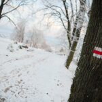 29.11.2020. Kielce. Zima w Kielcach / Wiktor Taszłow / Radio Kielce