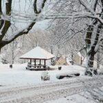 29.11.2020. Kielce. Zima w Kielcach / Wiktor Taszłow / Radio Kielce