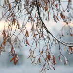 29.11.2020. Kielce. Zima w Kielcach / Wiktor Taszłow / Radio Kielce