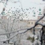 29.11.2020. Kielce. Zima w Kielcach / Wiktor Taszłow / Radio Kielce