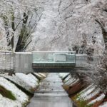 29.11.2020. Kielce. Zima w Kielcach / Wiktor Taszłow / Radio Kielce