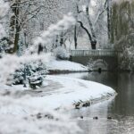 29.11.2020. Kielce. Zima w Kielcach / Wiktor Taszłow / Radio Kielce