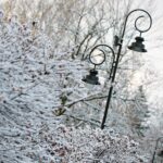 29.11.2020. Kielce. Zima w Kielcach / Wiktor Taszłow / Radio Kielce