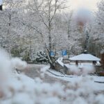 29.11.2020. Kielce. Zima w Kielcach / Wiktor Taszłow / Radio Kielce