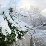 29.11.2020. Kielce. Zima w Kielcach / Wiktor Taszłow / Radio Kielce