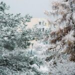 29.11.2020. Kielce. Zima w Kielcach / Wiktor Taszłow / Radio Kielce