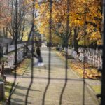 31.10.2020. Kielce. Cmentarz Stary / Wiktor Taszłow / Radio Kielce