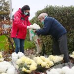 13.11.2020. Kielce. Radio Kielce rozdaje chryzantemy / Wiktor Taszłow / Radio Kielce