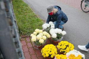 13.11.2020. Kielce. Radio Kielce rozdaje chryzantemy / Wiktor Taszłow / Radio Kielce