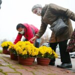 13.11.2020. Kielce. Radio Kielce rozdaje chryzantemy / Wiktor Taszłow / Radio Kielce