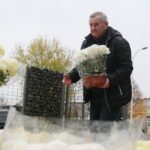 13.11.2020. Kielce. Radio Kielce rozdaje chryzantemy / Wiktor Taszłow / Radio Kielce