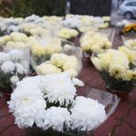 13.11.2020. Kielce. Radio Kielce rozdaje chryzantemy / Wiktor Taszłow / Radio Kielce