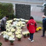 13.11.2020. Kielce. Radio Kielce rozdaje chryzantemy / Wiktor Taszłow / Radio Kielce