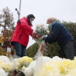 13.11.2020. Kielce. Radio Kielce rozdaje chryzantemy / Wiktor Taszłow / Radio Kielce