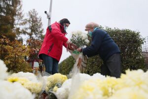 13.11.2020. Kielce. Radio Kielce rozdaje chryzantemy / Wiktor Taszłow / Radio Kielce