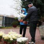 13.11.2020. Kielce. Radio Kielce rozdaje chryzantemy / Wiktor Taszłow / Radio Kielce