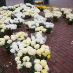 13.11.2020. Kielce. Radio Kielce rozdaje chryzantemy / Wiktor Taszłow / Radio Kielce