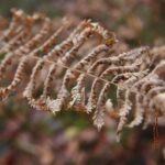 Fot. Wiktor Taszłow - Radio Kielce