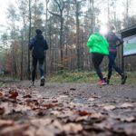 15.11.2020. Kielce. Jesień w lesie / Wiktor Taszłow / Radio Kielce