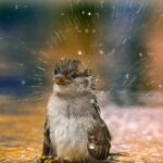 Zdjęcia laureatów w konkursie fotograficznym "Życie jest piękne". Marzec Urszula Frydrych / mat. prasowe