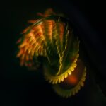 Zdjęcia laureatów w konkursie fotograficznym "Życie jest piękne". Kwiecień Wiktoria Feliniak / mat. prasowe