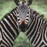 Zdjęcia laureatów w konkursie fotograficznym "Życie jest piękne". Czerwiec Małgorzata Borkowska / mat. prasowe