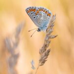 Zdjęcia wyróżnionych w konkursie fotograficznym "Życie jest piękne". Lipiec Paweł Pluciński / mat. prasowe