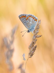 Zdjęcia wyróżnionych w konkursie fotograficznym "Życie jest piękne". Lipiec Paweł Pluciński / mat. prasowe