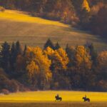 Zdjęcia laureatów w konkursie fotograficznym "Życie jest piękne". Wrzesień Piotr Lisowski / mat. prasowe