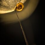 Zdjęcia wyróżnionych w konkursie fotograficznym "Życie jest piękne". Listopad Urszula Frydrych / mat. prasowe