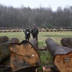 Włoszczowa. VI Regionalna Submisja Drewna Szczególnego / Regionalna Dyrekcja Lasów Państwowych w Radomiu / Facebook