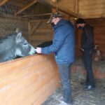 25.12.2020 Działoszyce. Żywa szopka / Anna Surówka