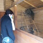 25.12.2020 Działoszyce. Żywa szopka / Anna Surówka