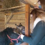 25.12.2020 Działoszyce. Żywa szopka / Anna Surówka