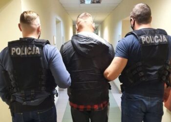 Zatrzymany 28-letni mieszkaniec gminy Strawczyn / Świętokrzyska Policja