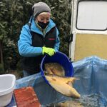 20.12.2020 Sandomierz. Plac 3 Maja. Sprzedaż karpi. Na zdjęciu: Ana Ziółek - sprzedawczyni z gospodarstwa rybackiego Henryka Dziuby w Zawidzy / Grażyna Szlęzak-Wójcik / Radio Kielce