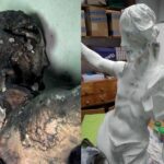 Tokarnia. Park Etnograficzny. Konserwacja zabytków z kościółka z Rogowa. Na zdjęciu (z lewej): Figura Chrystusa przed renowacją; (z prawej): Figura Chrystusa - uzupełnienie powierzchni kitów / Muzeum Wsi Kieleckiej