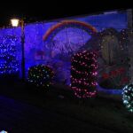 25.12.2020 Doły Biskupie. Świąteczne iluminacje na posesji Jerzego Trojanowskiego / Emilia Sitarska / Radio Kielce