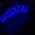 25.12.2020 Doły Biskupie. Świąteczne iluminacje na posesji Jerzego Trojanowskiego / Emilia Sitarska / Radio Kielce