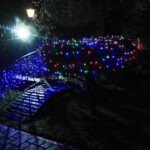 25.12.2020 Doły Biskupie. Świąteczne iluminacje na posesji Jerzego Trojanowskiego / Emilia Sitarska / Radio Kielce